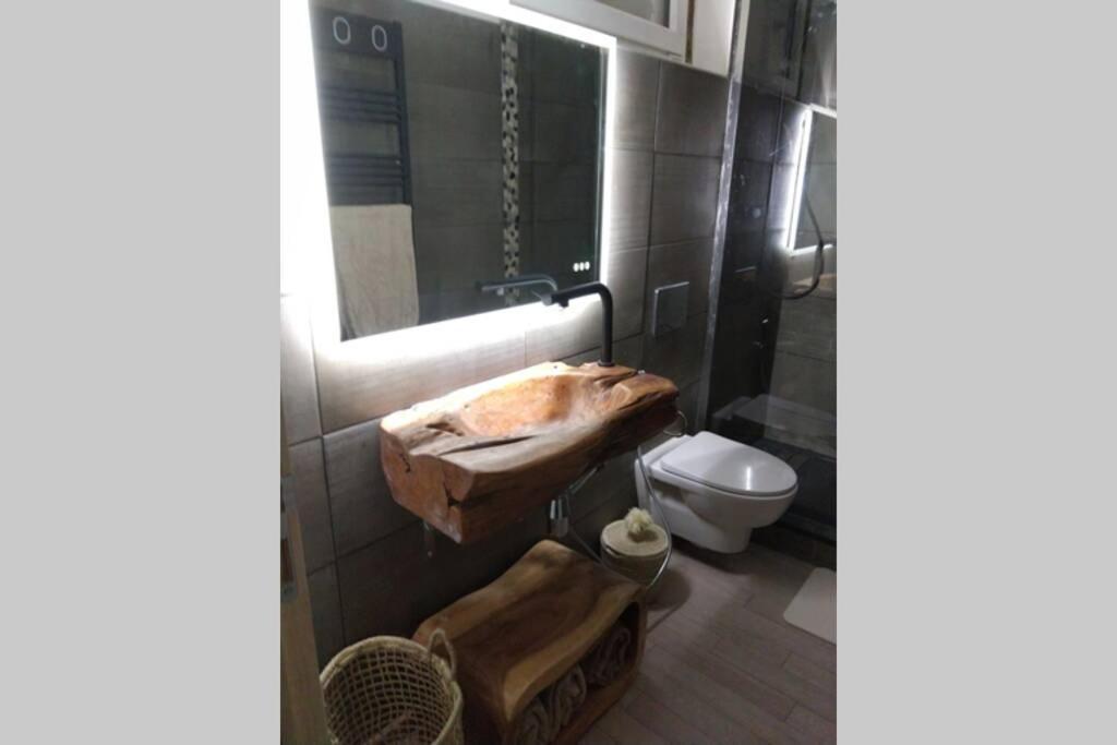 Chaleureux Petit Appartement De 4 Couchages Saint-Etienne-de-Tinee Bagian luar foto